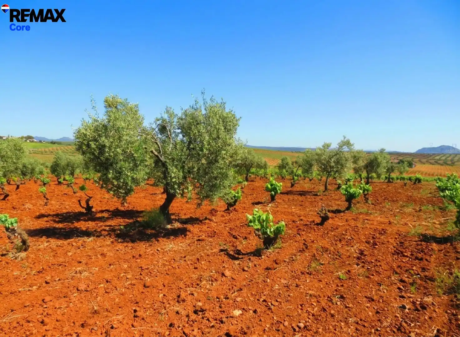 Garten von Grundstücke zum Verkauf in La Zarza (Badajoz)