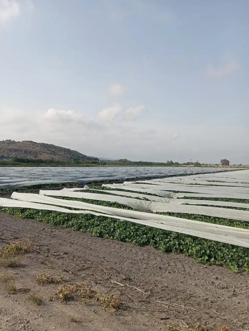Rural land for sale in N/A, imagen 13
