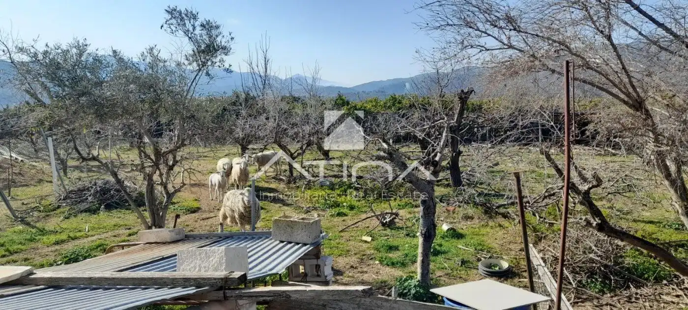Xalet en venda a Palma de Gandia, imagen 3