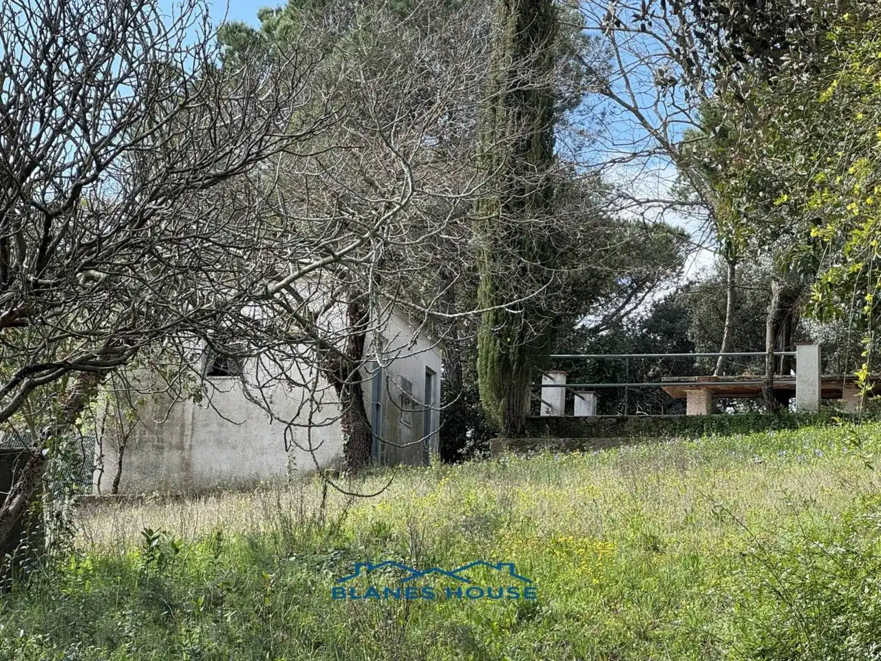 House with garden for sale in Calle Arbres 0´, imagen 7