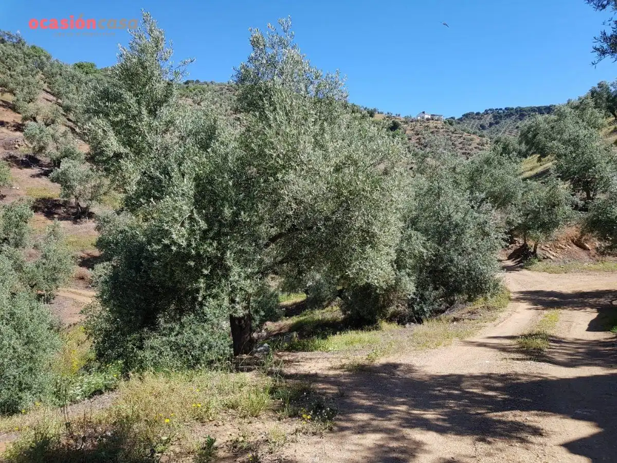 Finca rústica en venta en Villanueva de Córdoba con Jardín privado, Trastero y Amueblado