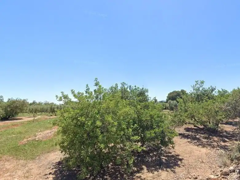 Casa en venda a El Pla de Santa Maria, imagen 4