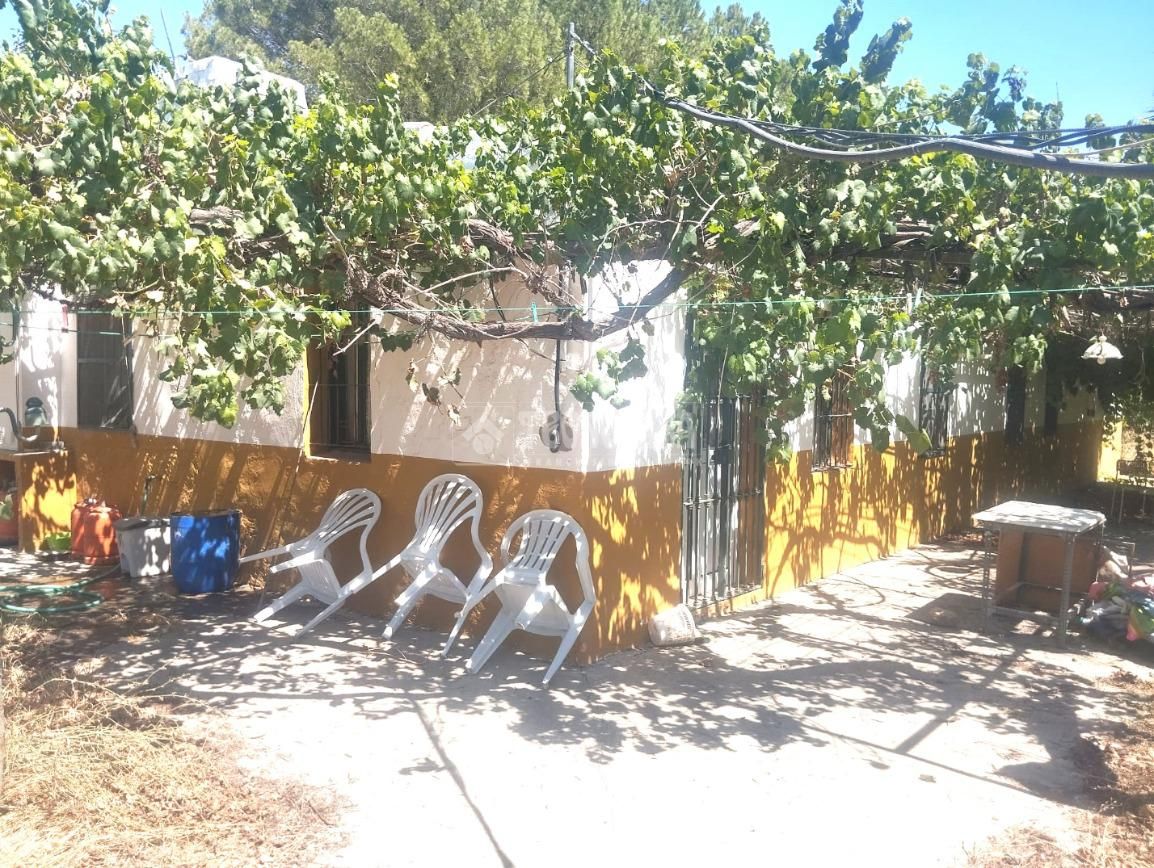 Jardí de Finca rústica en venda en La Puebla del Río amb Aire condicionat i Alarma