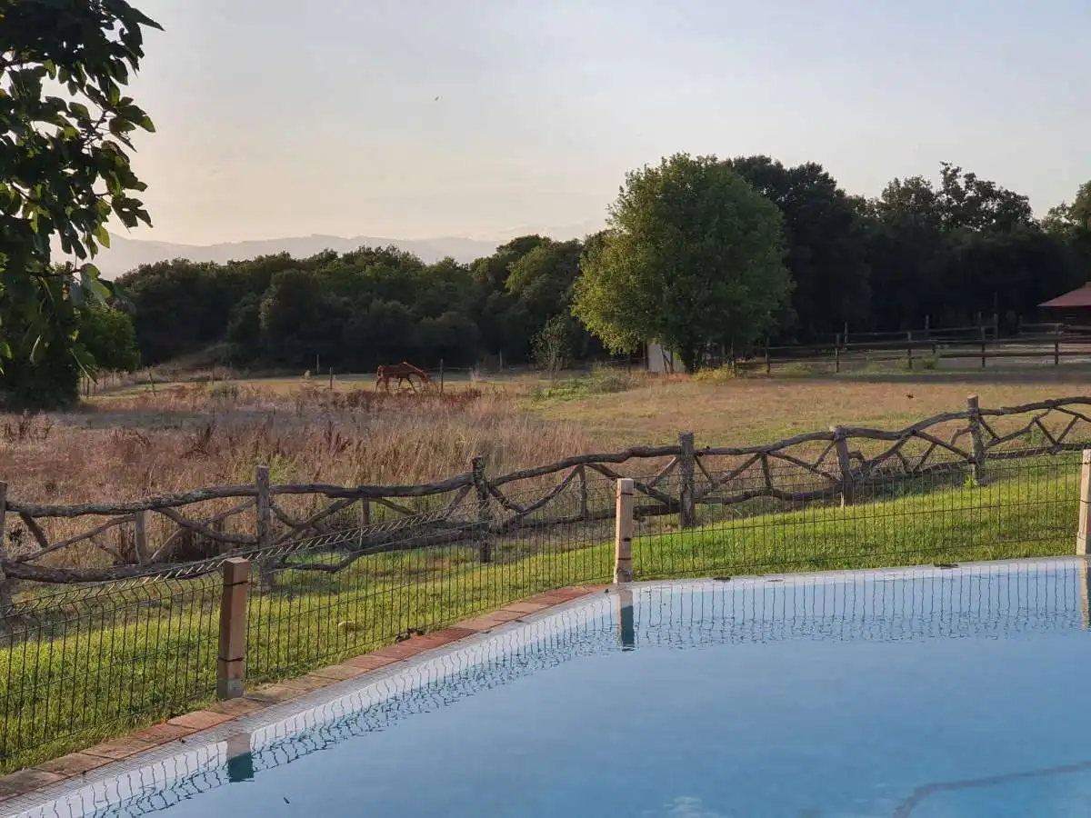 Piscina de Piso en venta en Cassà de la Selva