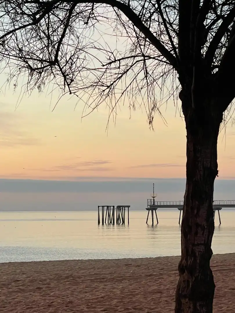 Vista exterior de Pis en venda en Badalona amb Moblat, Balcó i Alarma
