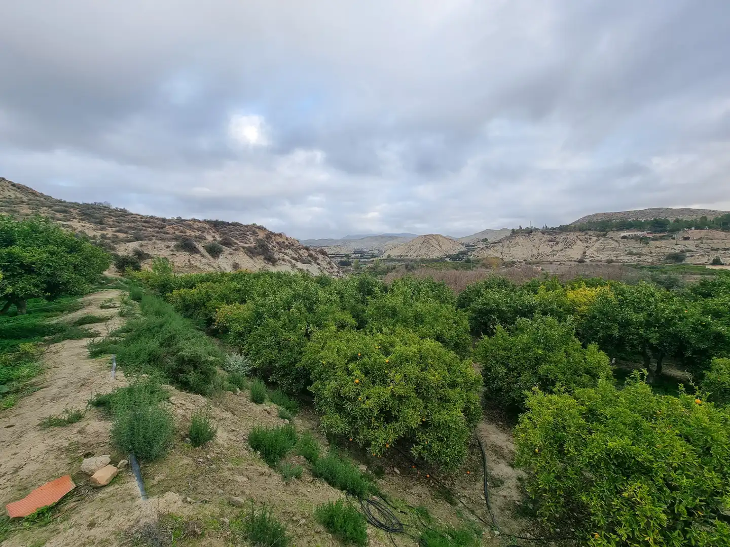 Rural land for sale in Calle Camino Ancho 4, imagen 4