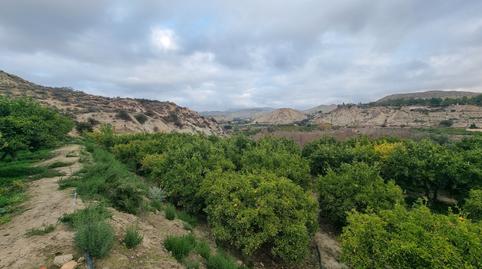 Foto 4 de Terreny en venda a Calle Camino Ancho, 4, Terque, Almería