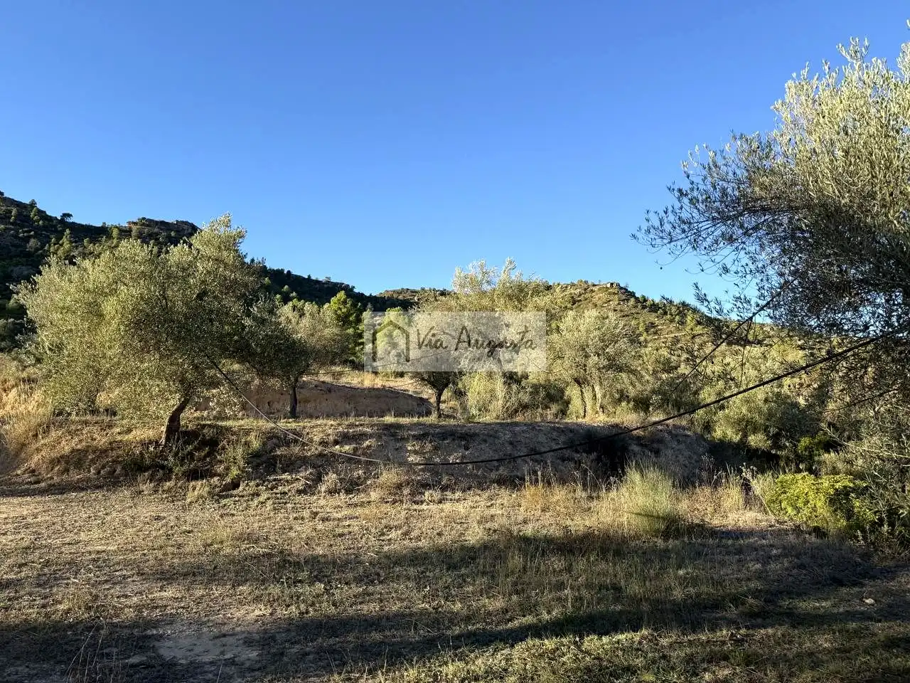 Terreno en venta en Vinebre