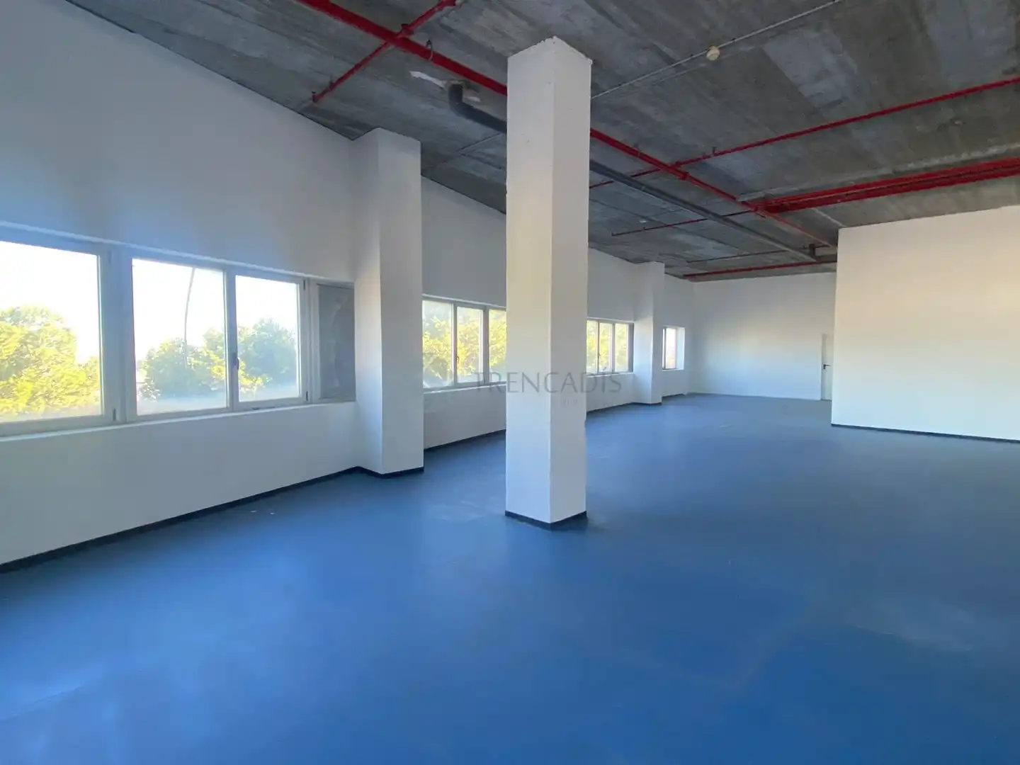 Gewerbefläche zum Verkauf in edificio el mundo, imagen 4