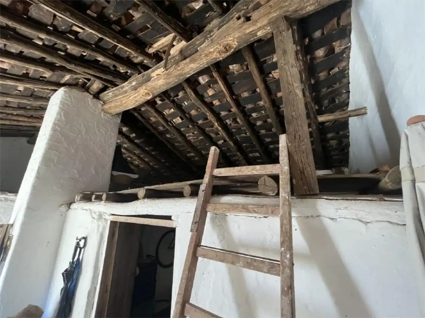 Finca rústica en venta en Jabugo
