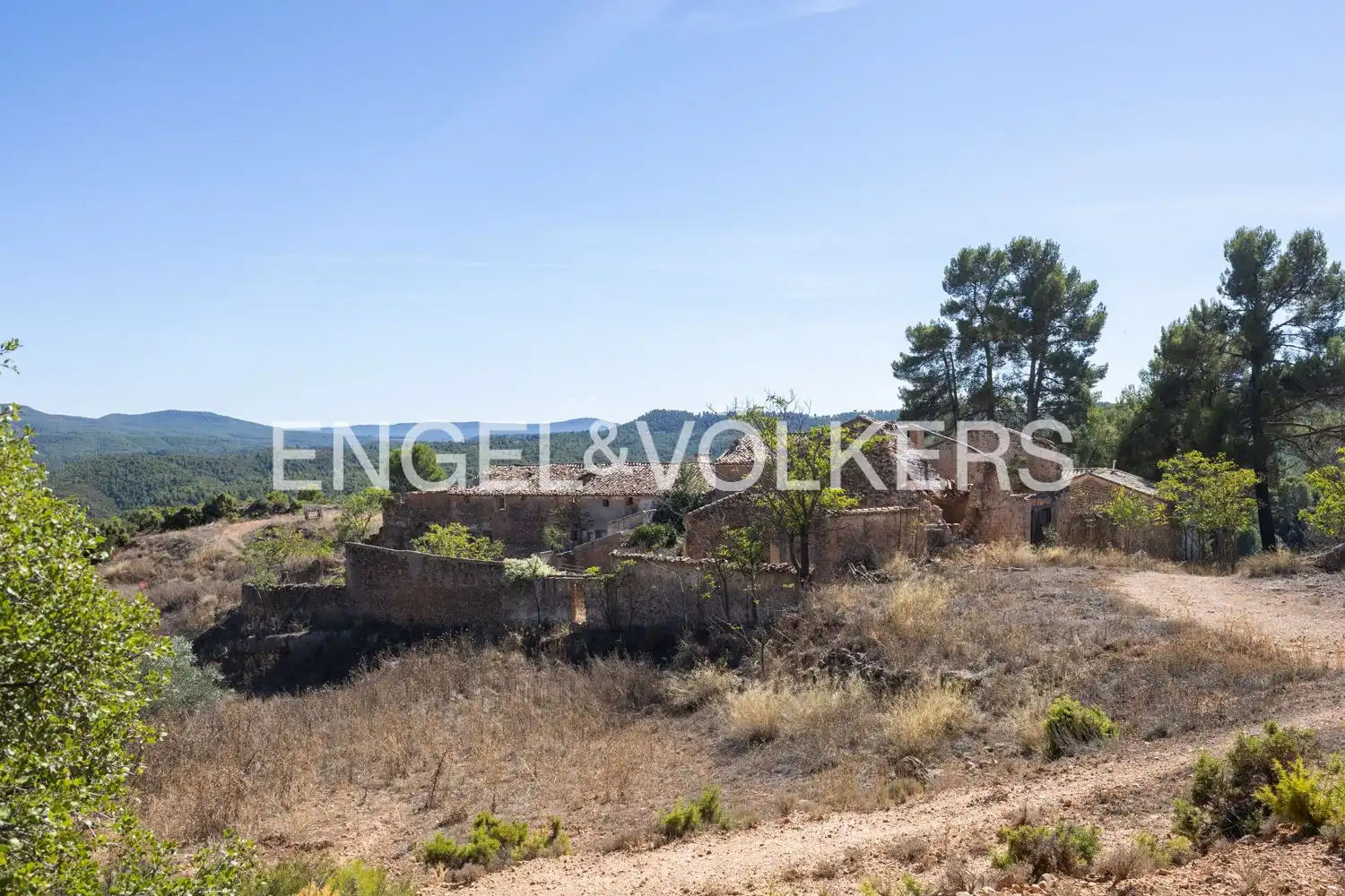 Terrain rustique à vendre à Requena, imagen 25
