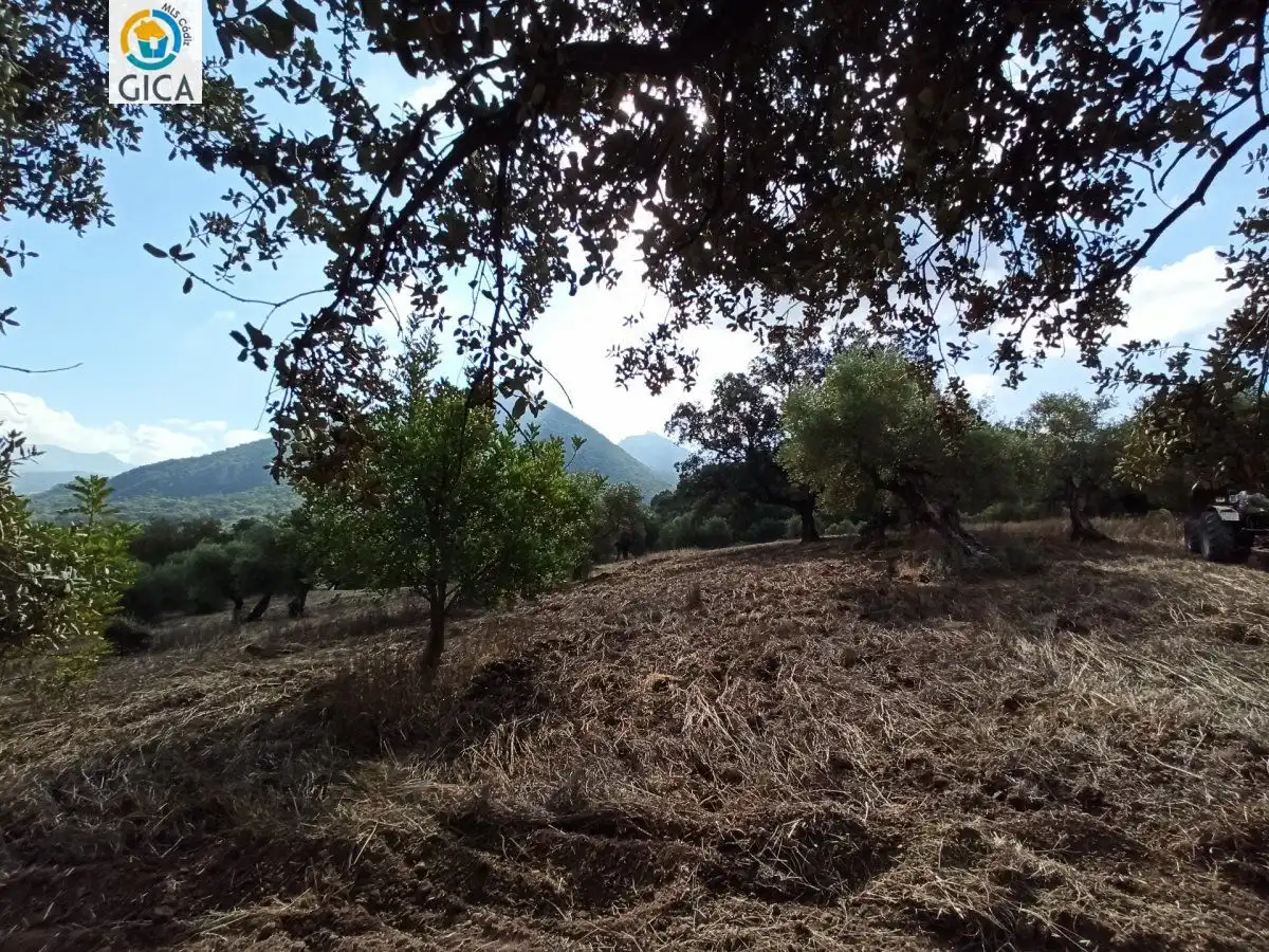 Casa rústica en venda a El Bosque, imagen 44