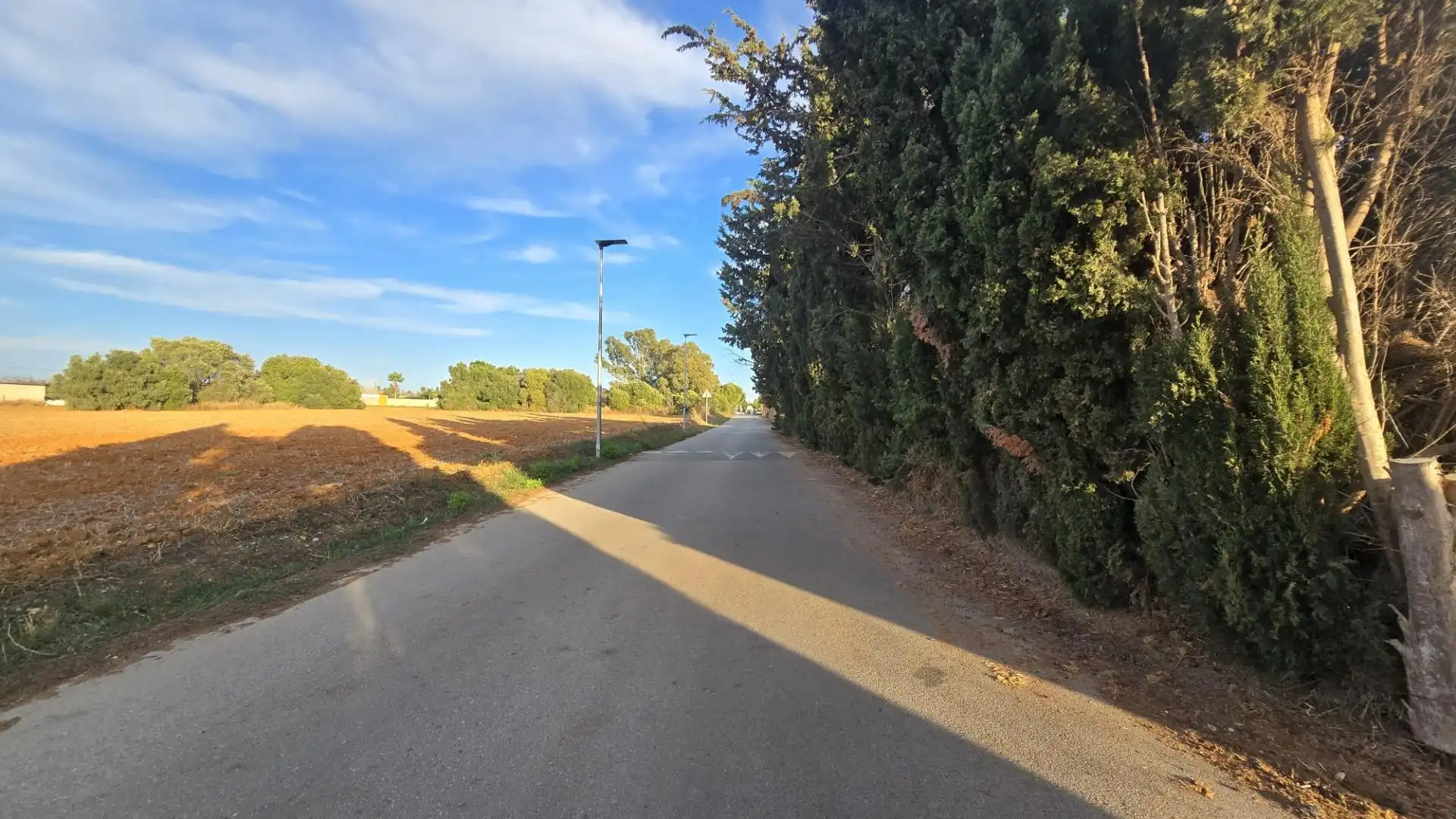 Land for sale in Los Franceses – La Vega