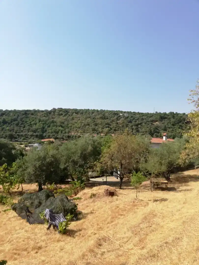 Finca rústica en venda en Plasencia amb Jardí privat, Traster i Piscina