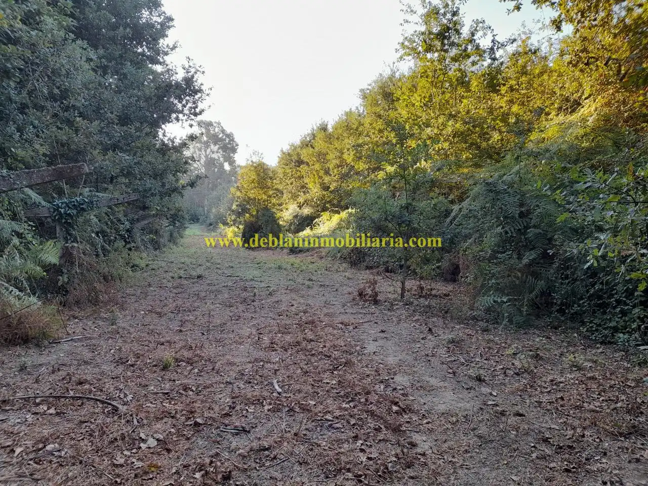 Terreno rústico en venta en Tui