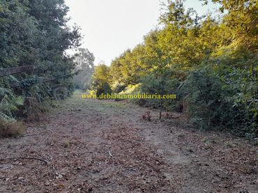 Terreno rustico in vendita a Tui