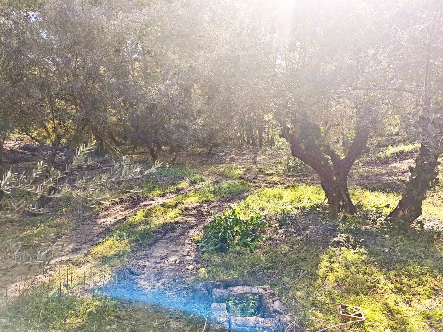 Terreno en venta en  Jaén Capital