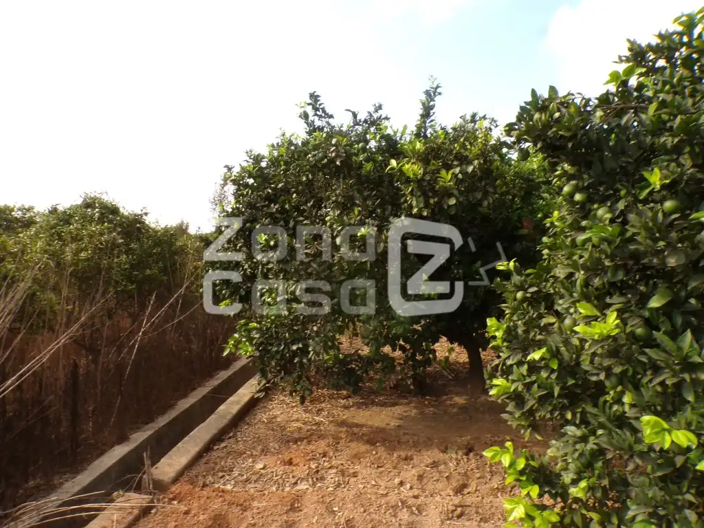 Country house for sale in Partida Marjaletes, imagen 5