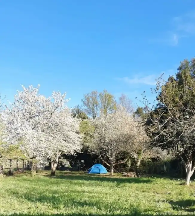 Exterior view of Land for sale in Sanxenxo