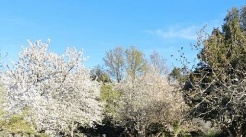 Foto 4 de Terreno en venta en Adina - Portonovo, Sanxenxo