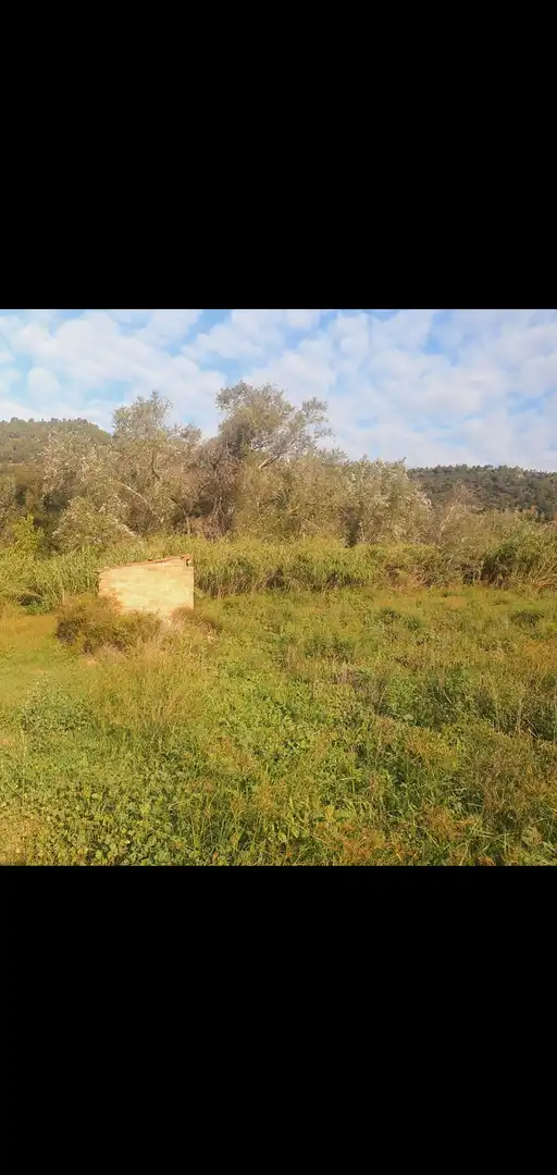 Terreno rústico en venta en Benifallet, imagen 8