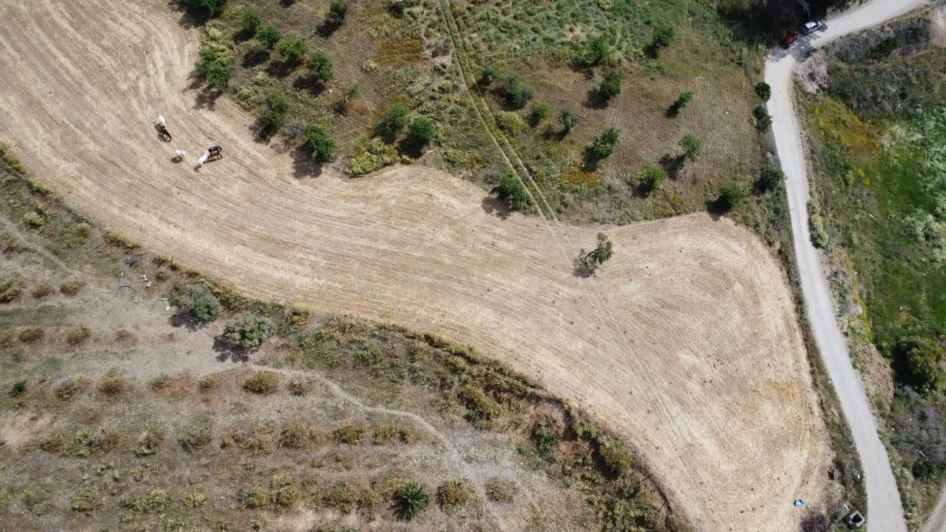 Terreni e lotti in vendita a Carretera Pista Confederación, Pizarra, Spain, imagen 9
