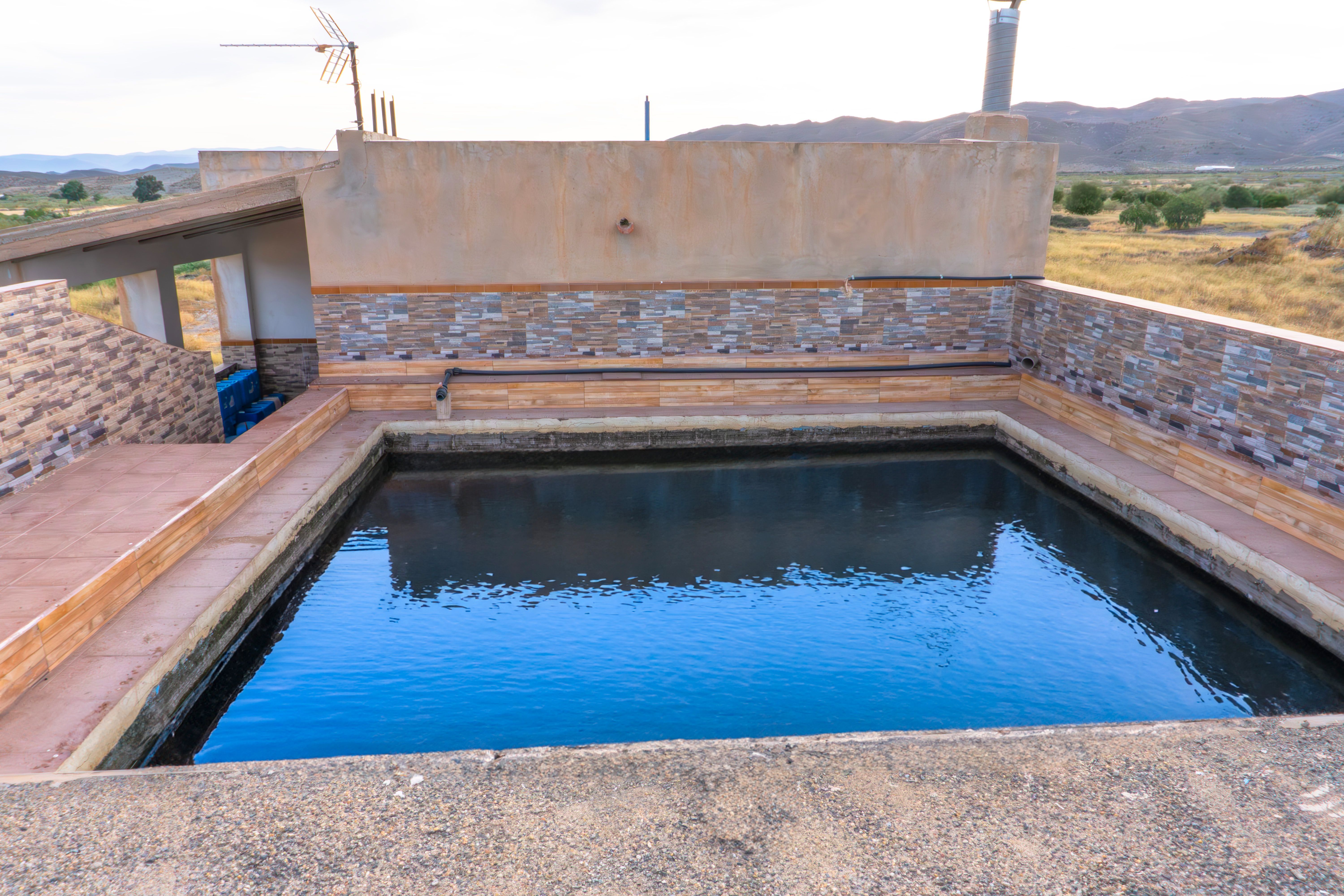 Swimming pool of Country house for sale in Tabernas  with Storage room