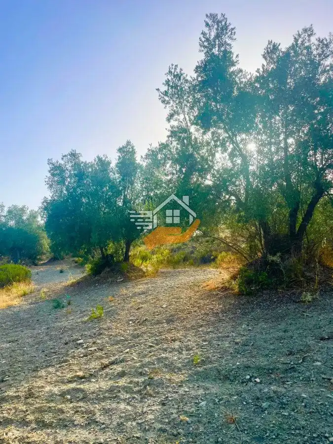 Residential land for sale in Vélez-Rubio, imagen 6