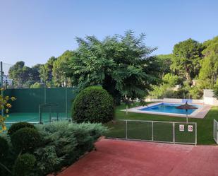 Swimming pool of Single-family semi-detached to rent in Náquera  with Air Conditioner and Terrace