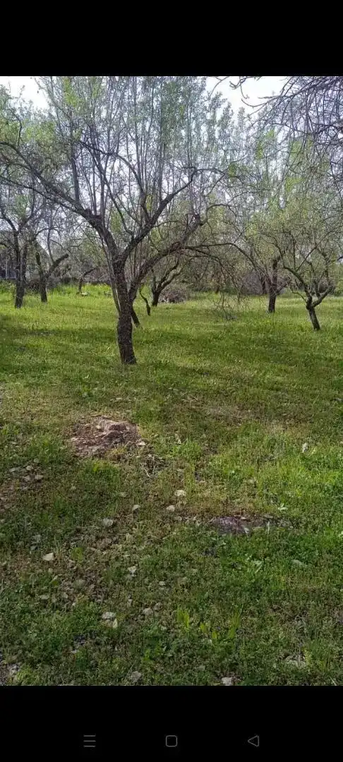 Finca rústica en venda en Jaén amb Jardí privat, Traster i Balcó