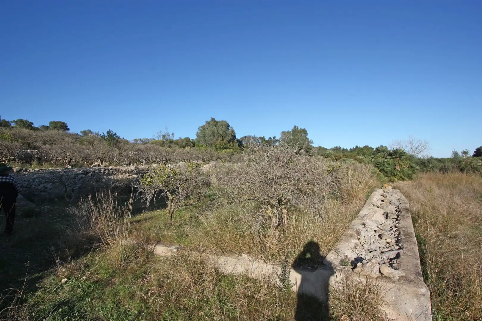 Lands and plots for sale in Benimeli, imagen 2
