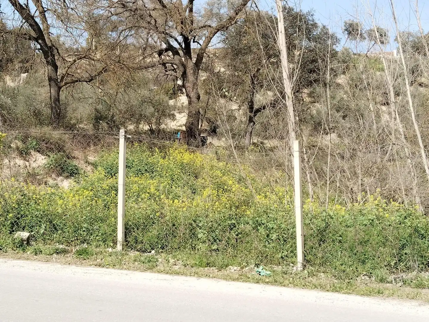 Terreni e lotti in vendita a Atarfe, imagen 6