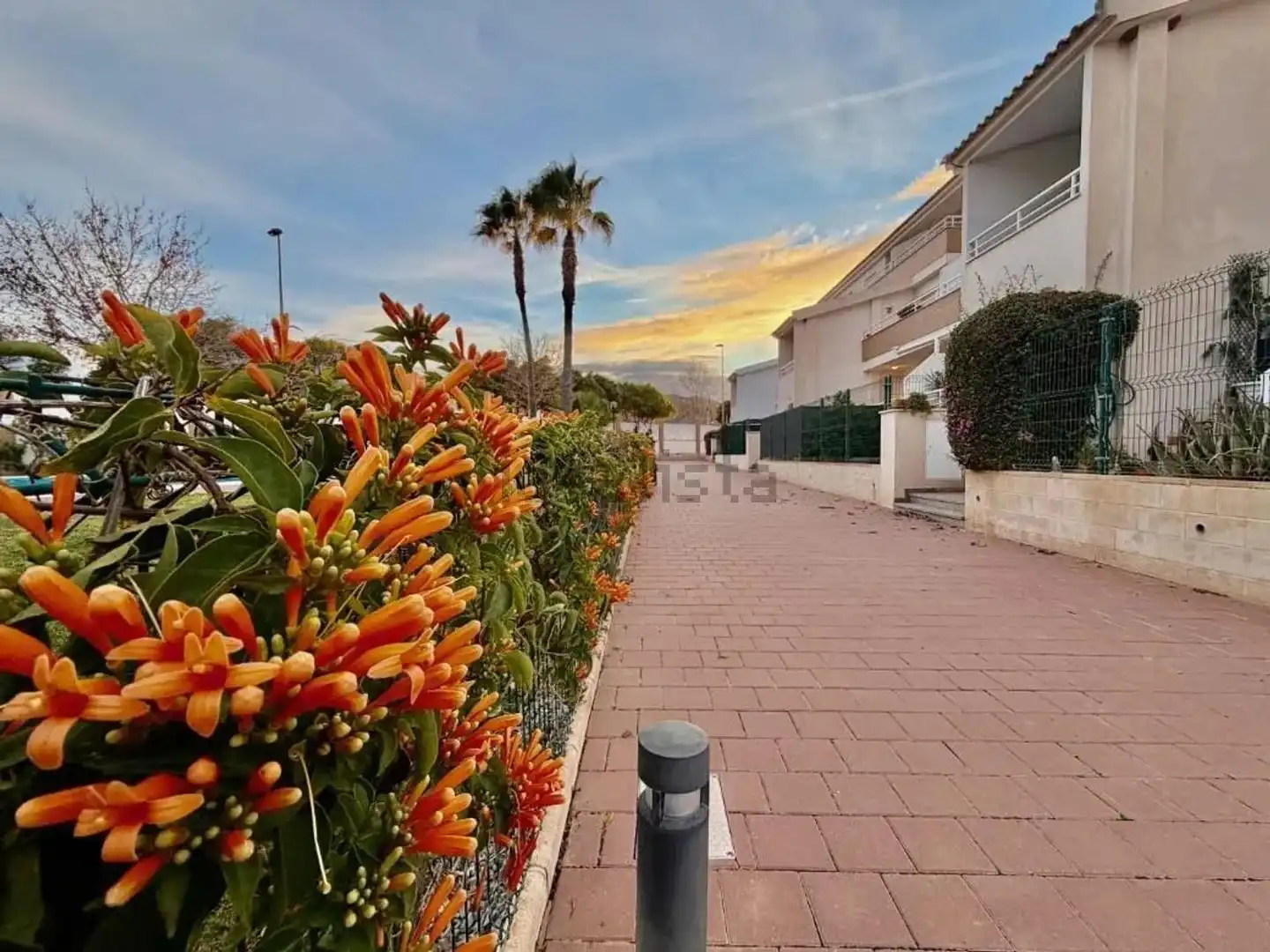 Exterior view of Ground floor for sale in Torre-Pacheco  with Private garden, Terrace and Community pool