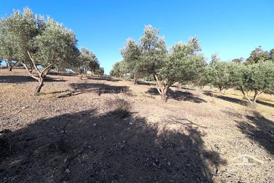 Terreni e lotti in vendita a Coín, imagen 4