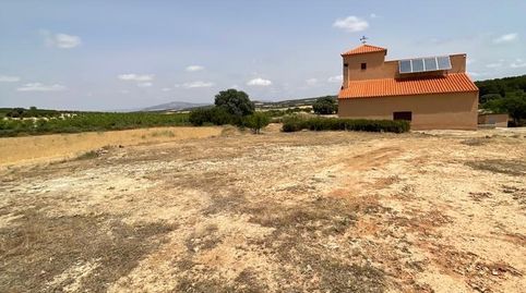 Foto 3 de Finca rústica en venta en Almansa, Albacete