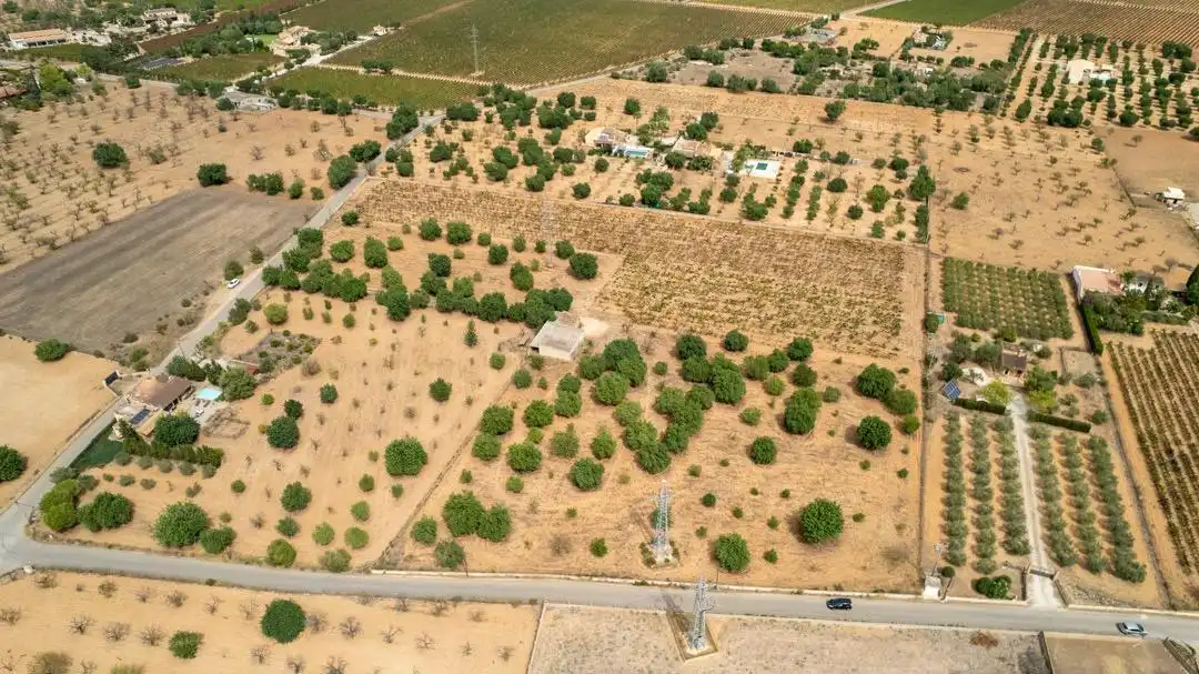 Land for sale in Consell