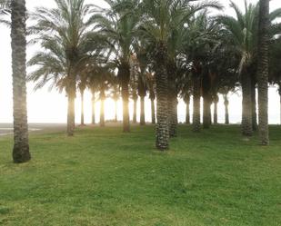 Jardí de Àtic de lloguer en Torremolinos amb Aire condicionat i Terrassa