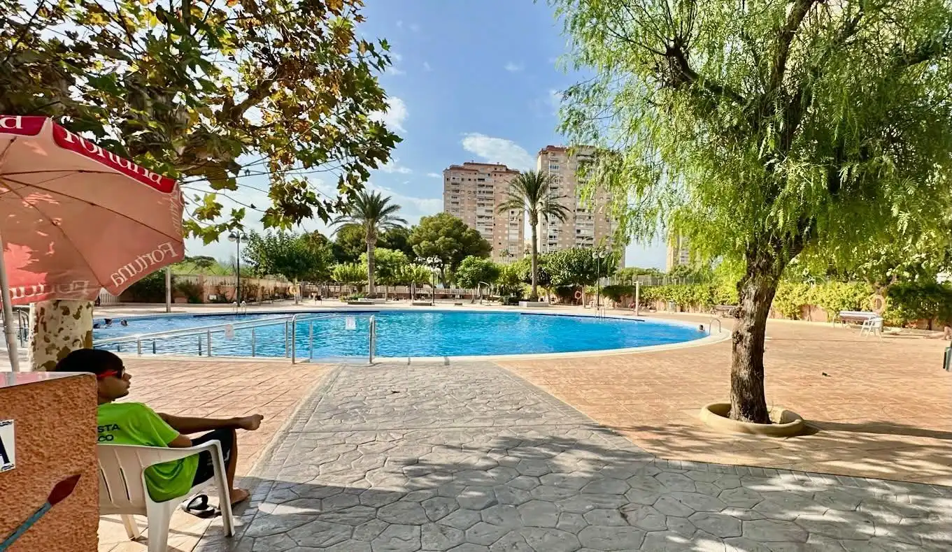 Rez-de-chaussée avec piscine à vendre à Calle de Petrer, imagen 20