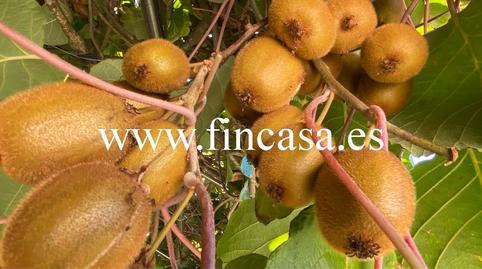 Foto 5 de Casa o chalet en venta en Panxón, Nigrán