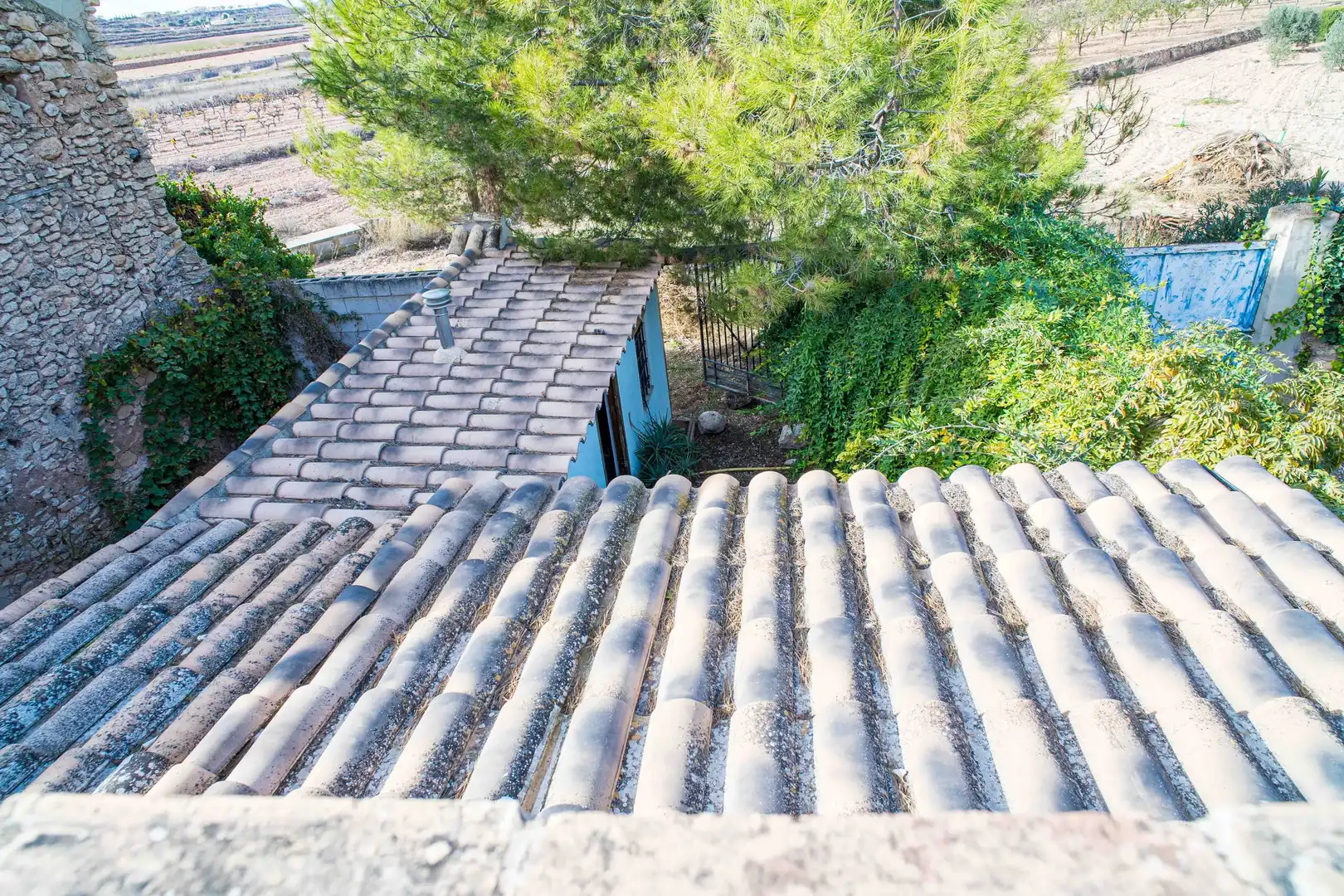 Adosado en venta en El Pinós / Pinoso, imagen 47