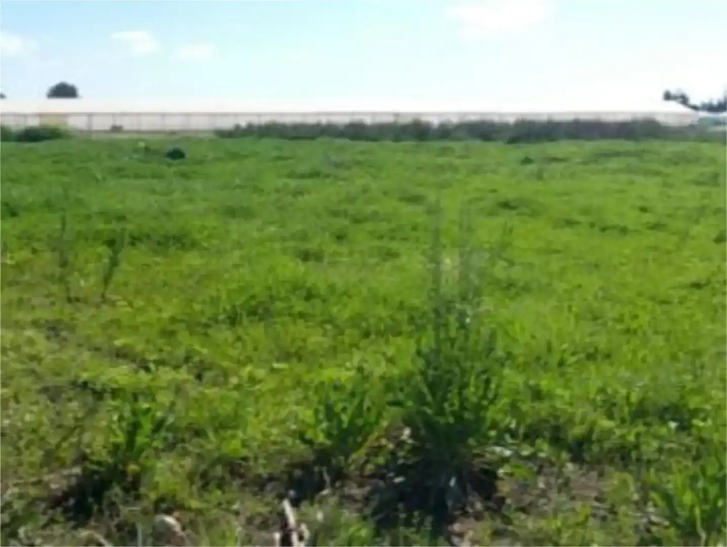 Land for sale in Chipiona