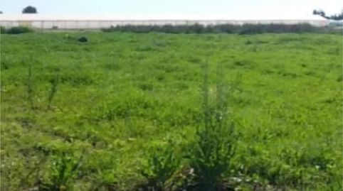 Photo 5 of Land for sale in Lugar Pago Copina, 142, Chipiona Norte, Chipiona
