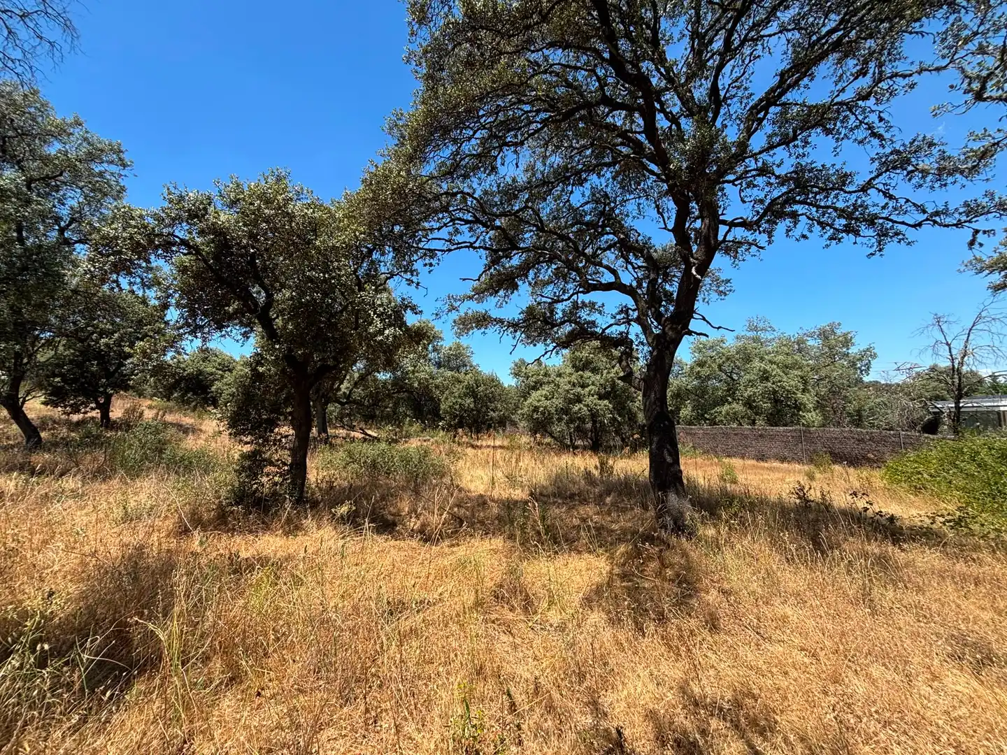 Residential land for sale in Paseo del Perú, imagen 5