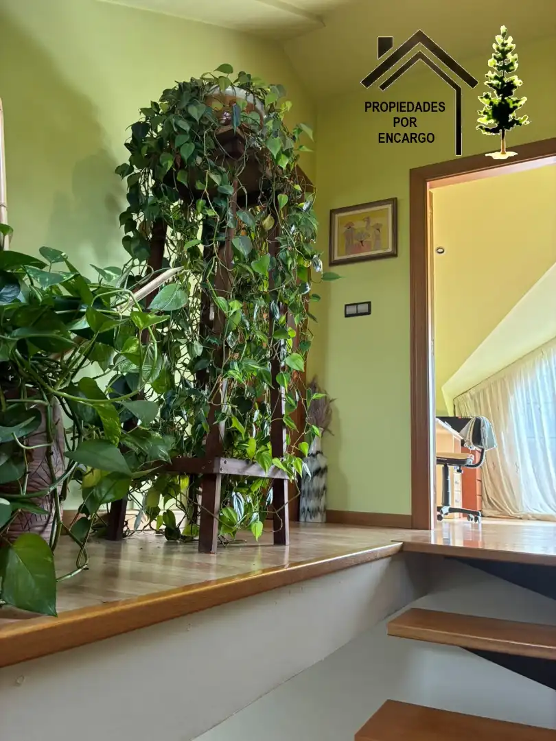 Detached house with garden for sale in Darbo, imagen 46