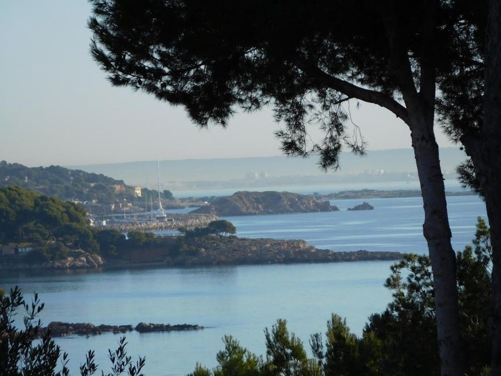 Exterior view of Land for sale in Calvià