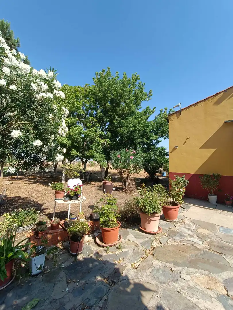 Chalet con piscina en venta en Villanueva de la Serena, imagen 4
