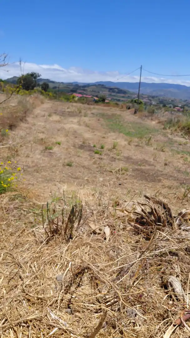 Terreny en venda en El Rosario