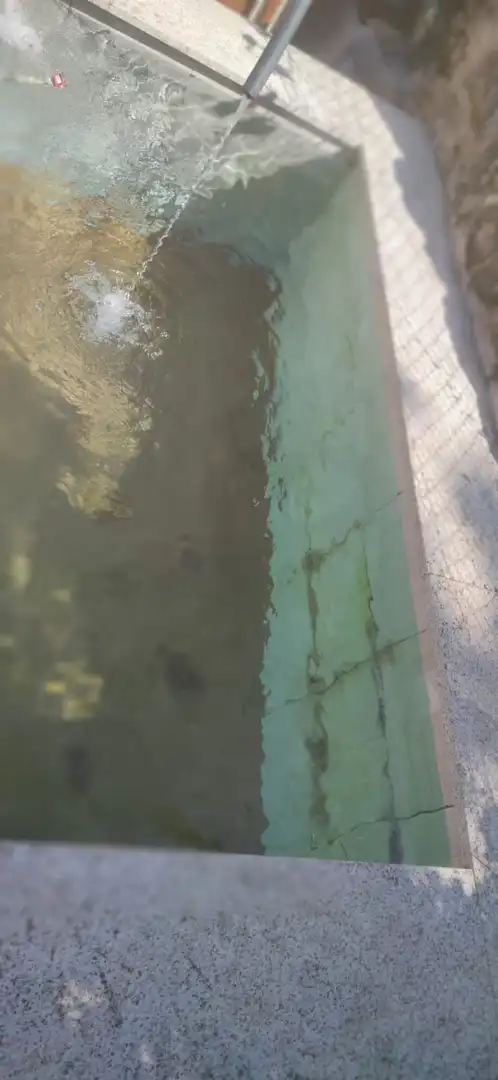 Piscina de Casa o xalet en venda en Crecente amb Jardí privat i Moblat