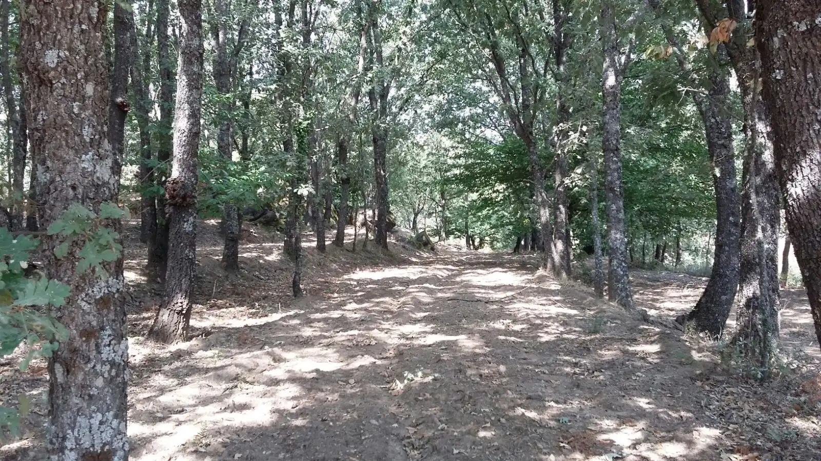 Terreni e lotti in vendita a Jarandilla de la Vera, imagen 3