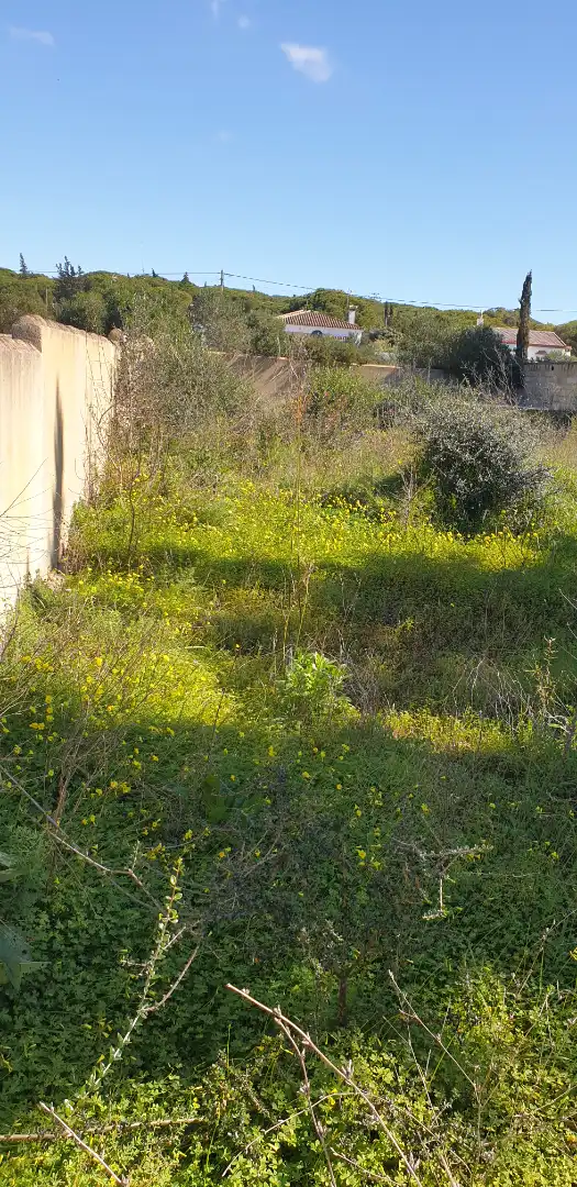 Terreny rústic en venda a Las Lagunas - Campano, imagen 3